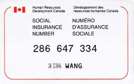 加拿大移民生活,加拿大社会保险卡,华夏移民