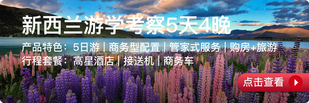 项目详情链接-copy-20.png