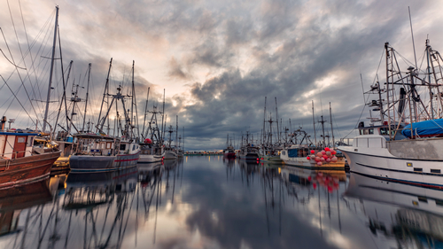 parked-sail-boats-on-body-of-water-3989845.jpg