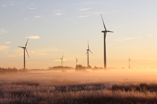 photo-of-windmills-during-dawn-3608056.jpg
